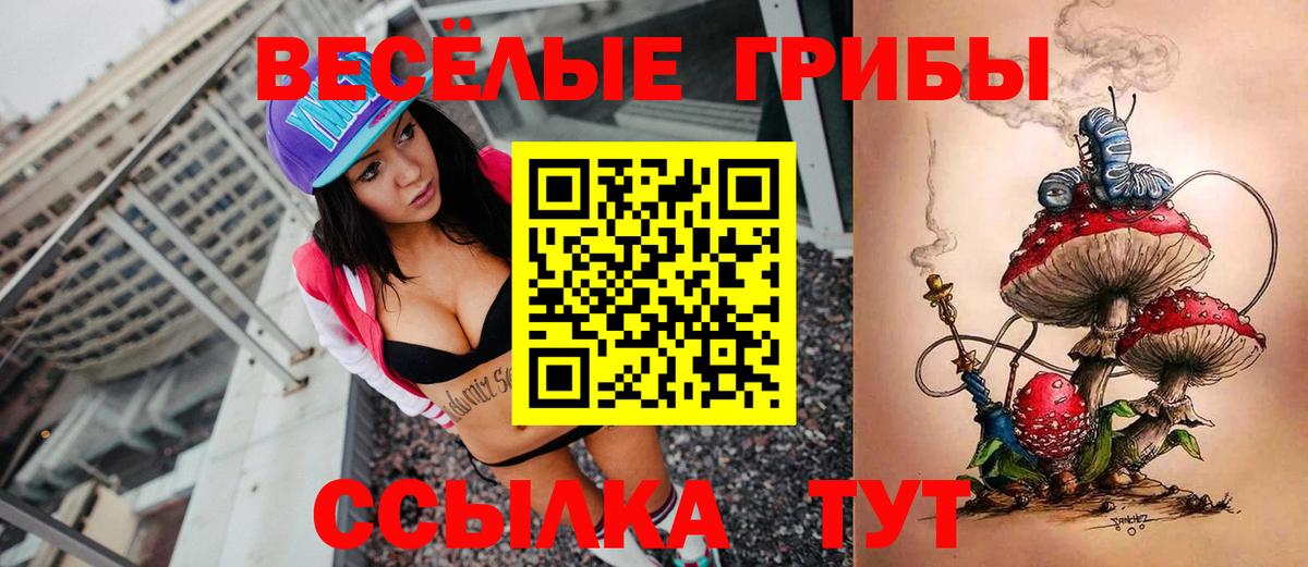 Псилоцибиновые грибы GOLDEN TEACHER Белгород